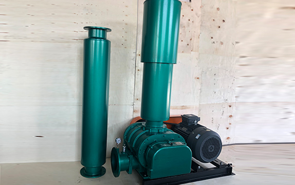 羅茨式鼓風(fēng)機(jī) 羅茨式鼓風(fēng)機(jī)